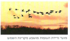 (בספר שש תמונות:)